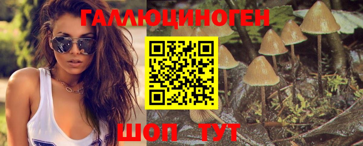 Усть-Кут  Галлюциногенные грибы мухоморы  купить  цена  Вход с VPN 